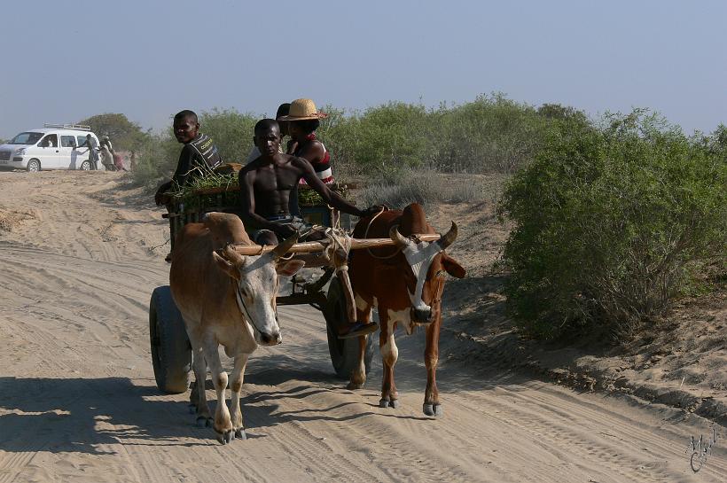 P1090483.JPG - C'est en creusant et en camouflant des trous dans les pistes, pour ensuite aider à dégager les véhicules, que les villageois gagnent de l'argent afin de s'acheter à manger.