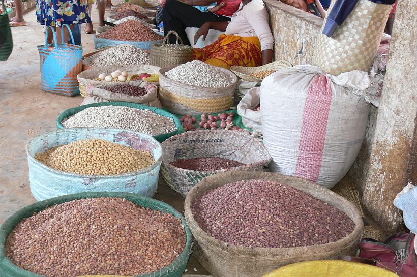 P1090731.JPG - Arachides et haricots.