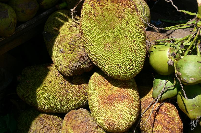 P1100601.JPG - Le jack. Ce fruit peut atteindre 35kg et 90cm de longueur. Difficile à éplucher, entre la peau et la chaire il y a une matière collante qui reste sur les doigts pendant plusieurs heures. Mais la chaire est délicieuse.