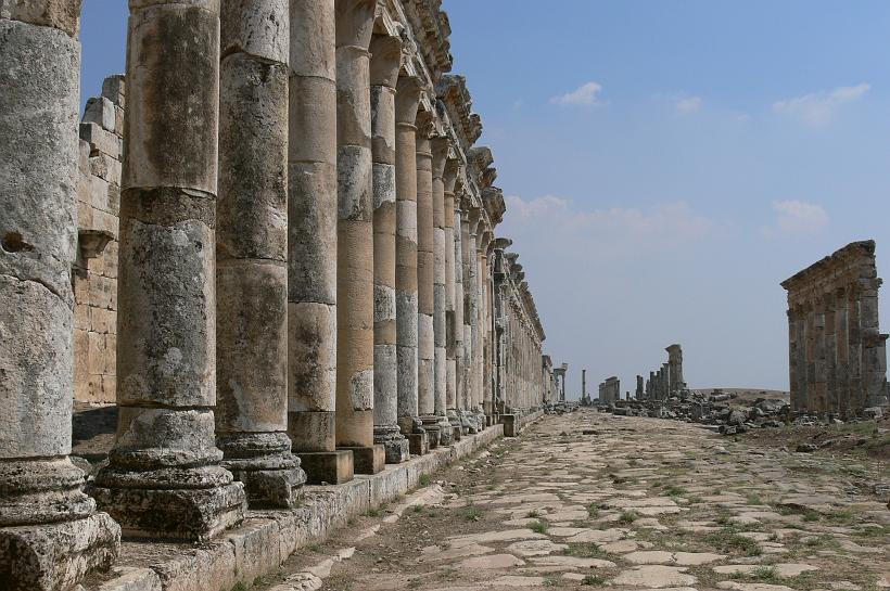 P1090080.JPG - Cette voie principale, la Grande Colonnade d'Apamée était l'artère officielle de la ville. Longue de 1850m et large de 37,5m, elle abritait des boutiques sous ses 1200 colonnes (il en reste 400 aujourd'hui)