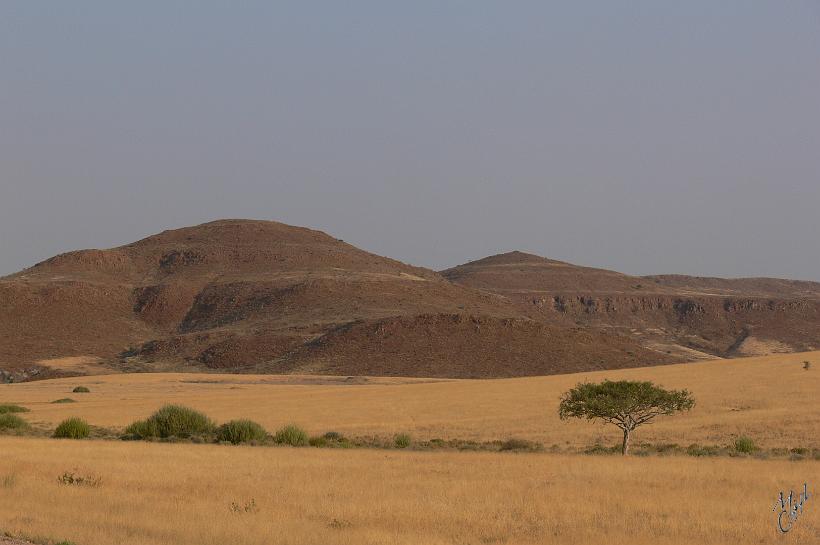 P1130808.JPG - Entre Khorixas et Outjo (Nord-Oues du pays).