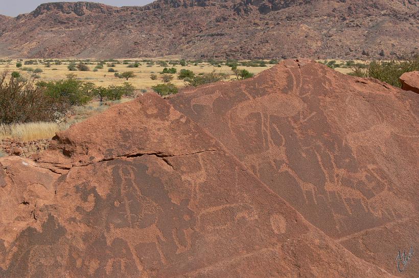 P1130864.JPG - Twyfelfontein est un site inscrit au patrimoine mondial de l’UNESCO. C'est l'œuvre des premiers Bushmen San. Près de 2000 figures ont été répertoriées. Certaines semblent avoir servi de motifs pour l'éducation des enfants (empreintes d'animaux) ou de carte (position des plans d'eau).