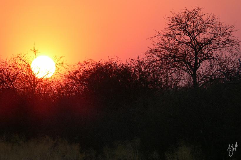 P1150171.JPG - Non pas un couché de soleil, mais un levé de soleil à Etosha.