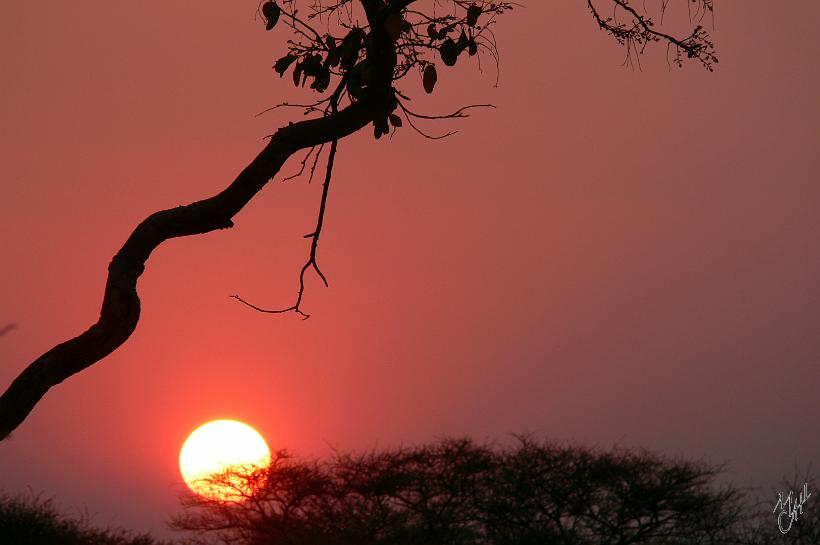 P1150293.JPG - Couché de soleil à Okahandja