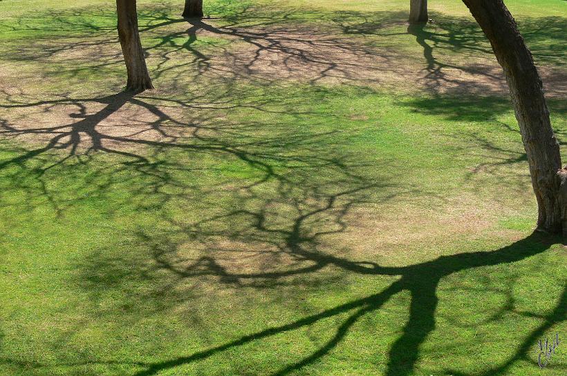 P1150397.JPG - Le parc du Tintenpalast, siège du Gouvernement et du parlement