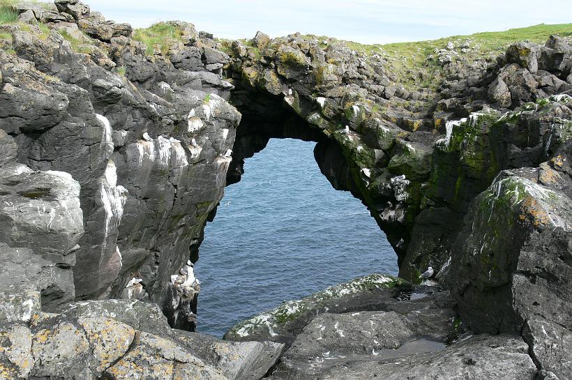 060729_Islande_Arnastapi_090.JPG - Dans les falaises, le long de cette côte de basalte nichent de nombreux oiseaux marins. Dans la région de Arnastapi on peut voir de nombreuses grandes arches de basalte.