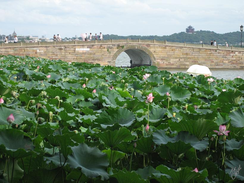 0907Hanzhou_IMG_5555.JPG - Retour sur le continent à Hangzhou à 200 kilomètres au sud ouest de Shanghai. Située sur les rivages du "lac de l'Ouest", elle a longtemps été considérée comme la plus belle ville de Chine.