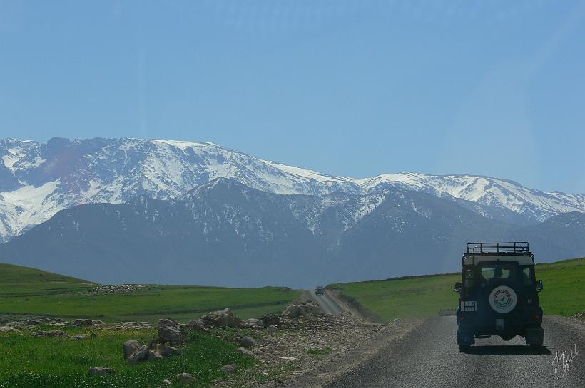 P1040551.JPG - Les vertes plaines fertiles du plateau du Kik avec l'Atlas enneigé en toile de fond.