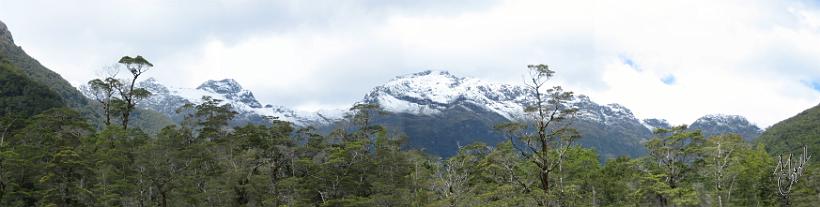 Pano_Forest02.jpg - Milford Sound - côte sud-ouest de l'île du sud