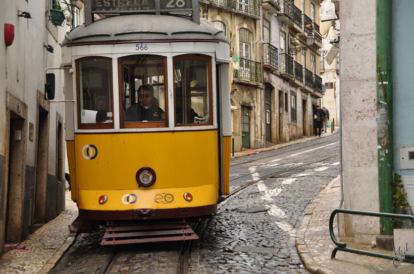 DSC_1998.JPG - L’Electrico n°28, le tramway le plus connu qui dessert les anciens quartiers.